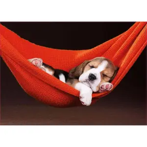 500 piece puzzle Educa Durmiendo Hamaca image-1