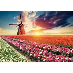 1500 piece puzzle Educa Paisaje Tulipanes image-1