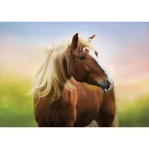 500 piece puzzle Educa Caballo Amanecer image-1