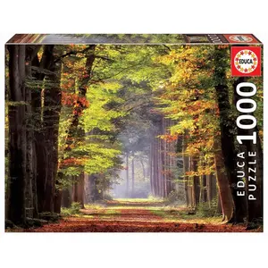 1000 piece puzzle Educa Paseo Otoñal image-0