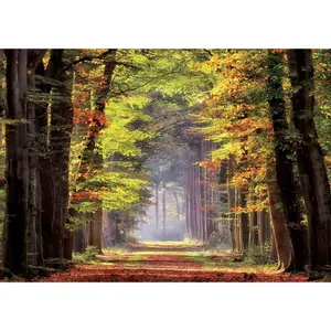 1000 piece puzzle Educa Paseo Otoñal image-1