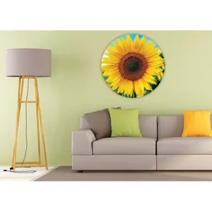 800 piece puzzle Educa Girasol image-2