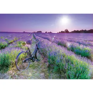 1000 piece puzzle Educa Lavanda Bicicleta image-1