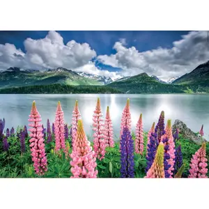 1500 piece puzzle Educa Altramuces Lago Suiza image-1