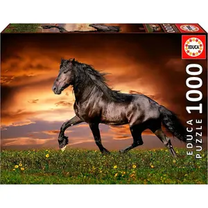 1000-piece puzzle Educa image-0