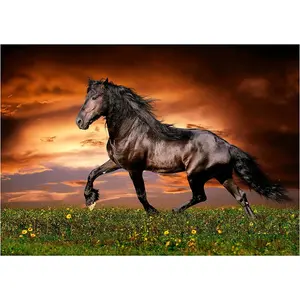 1000-piece puzzle Educa image-1