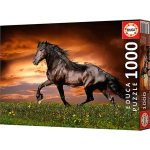 1000-piece puzzle Educa image-2