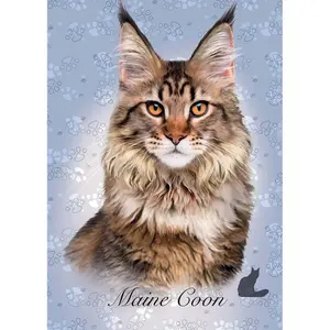 100 pieces puzzle in a cube Educa Gato Maine Coon image-1