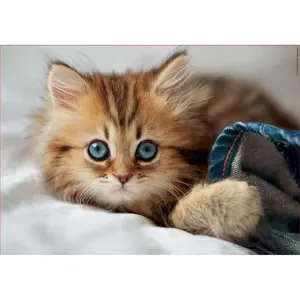 200 piece puzzle Educa Gatito image-1