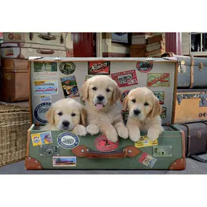 500 piece puzzle Educa Cachorros Equipaje image-1