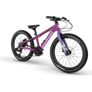 Kinderfiets Eightshot Coady 20 SL image-2