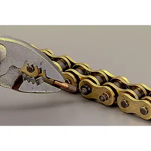 Schnellverschluss mit Schraubbefestigung EK Chain 520 ZVX3 image-3