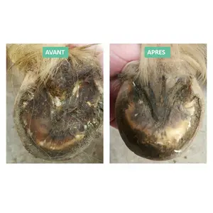 Gel for treating severe horse fork rot Ekin image-1
