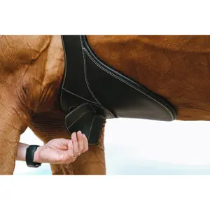 Riding girth Norton Magnet image-1