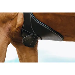 Riding girth Norton Magnet image-2