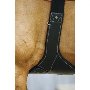 Riding girth Norton Magnet image-4