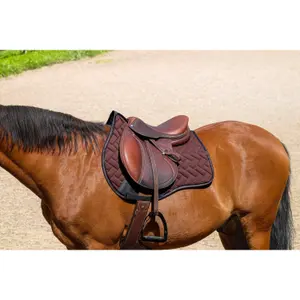 Σέλας για άλογο Equithème Impulsion image-1
