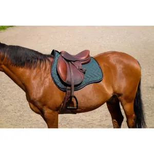 Σέλας για άλογο Equithème Impulsion image-1