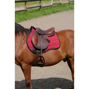 Σέλας για άλογο Equithème Impulsion image-1