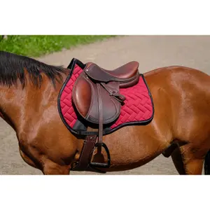 Σέλας για άλογο Equithème Impulsion image-2