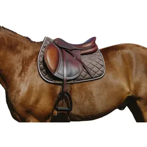Satteldecke für Pferde aus Samt Riding World image-0