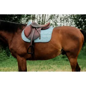 Tapis de selle pour cheval Riding World Sunshine image-1