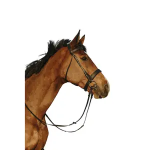 Σέλλα ιππασίας με φαρδιά συνδυασμένη μύτη Riding World image-0