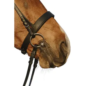 Σέλλα ιππασίας με φαρδιά συνδυασμένη μύτη Riding World image-1