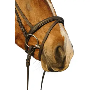 Cabeçada de equitação com muserola dupla combinada Riding World image-1