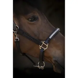 Lädergrimma för häst Pénélope Harmonie image-2