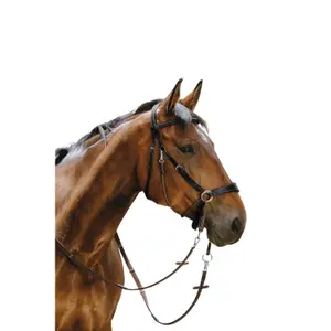 Σχοινί ιππασίας Norton Bitless image-0