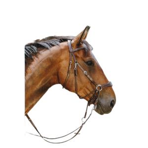 Hoofdstel Norton Bitless image-1