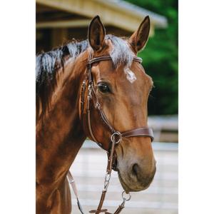 Hoofdstel Norton Bitless image-2