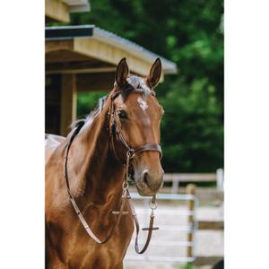 Hoofdstel Norton Bitless image-4