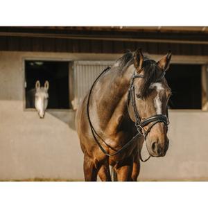 301909202-trense-eric-thomas-bat-schwarz