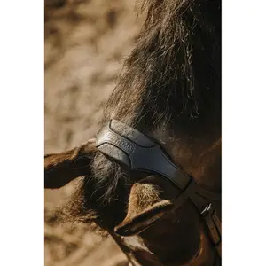 Trense Eric Thomas Bat image-3