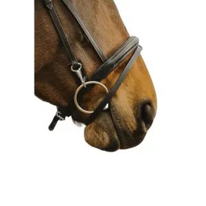 Σχοινί ιππασίας Norton Club Easy image-1