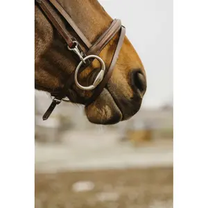 Hoofdstel Norton Club Easy image-3