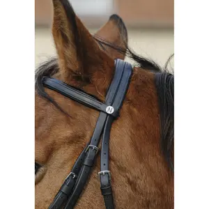 Anatomical training riding bridle Norton image-5