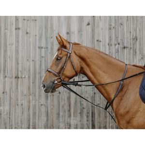 306426102-elastisches-zaumzeug-fur-pferde-norton-pro-thiedeman-schwarz-pony