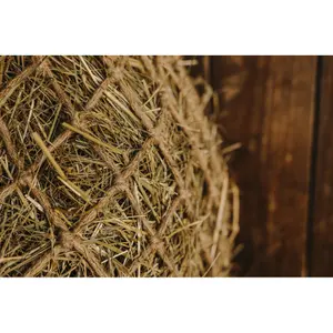 Filet à foin Hippotonic Naturel image-2