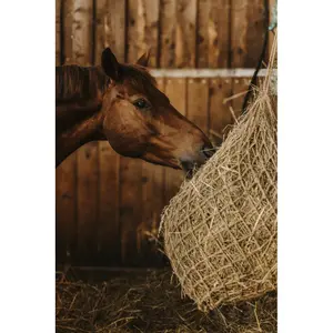 Filet à foin Hippotonic Naturel image-1