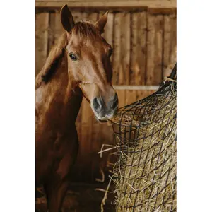 Nät för hö Hippotonic Rectangle image-1