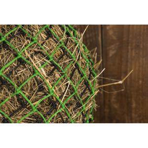 Hooi net Hippotonic Double image-2