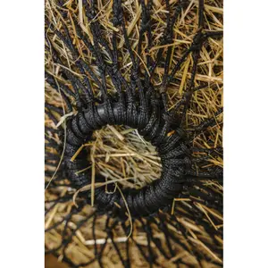 Hooi net Hippotonic Hot Temperature image-1