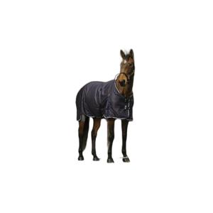 400348059-shirt-for-horse-equitheme-vague-marine