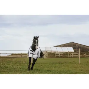 Shirt for horse Equithème image-3