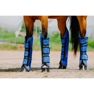 Μεταφορικές μπότες για άλογο aisance Equithème Tyrex 1200D image-3