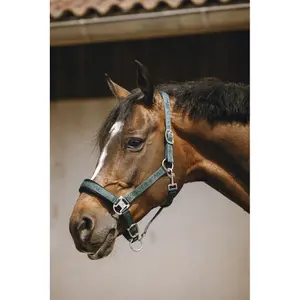 Halfter für Pferd Equithème Jacquard image-2