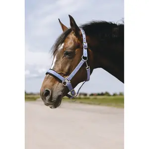 Halfter für Pferd Equithème Jacquard image-2